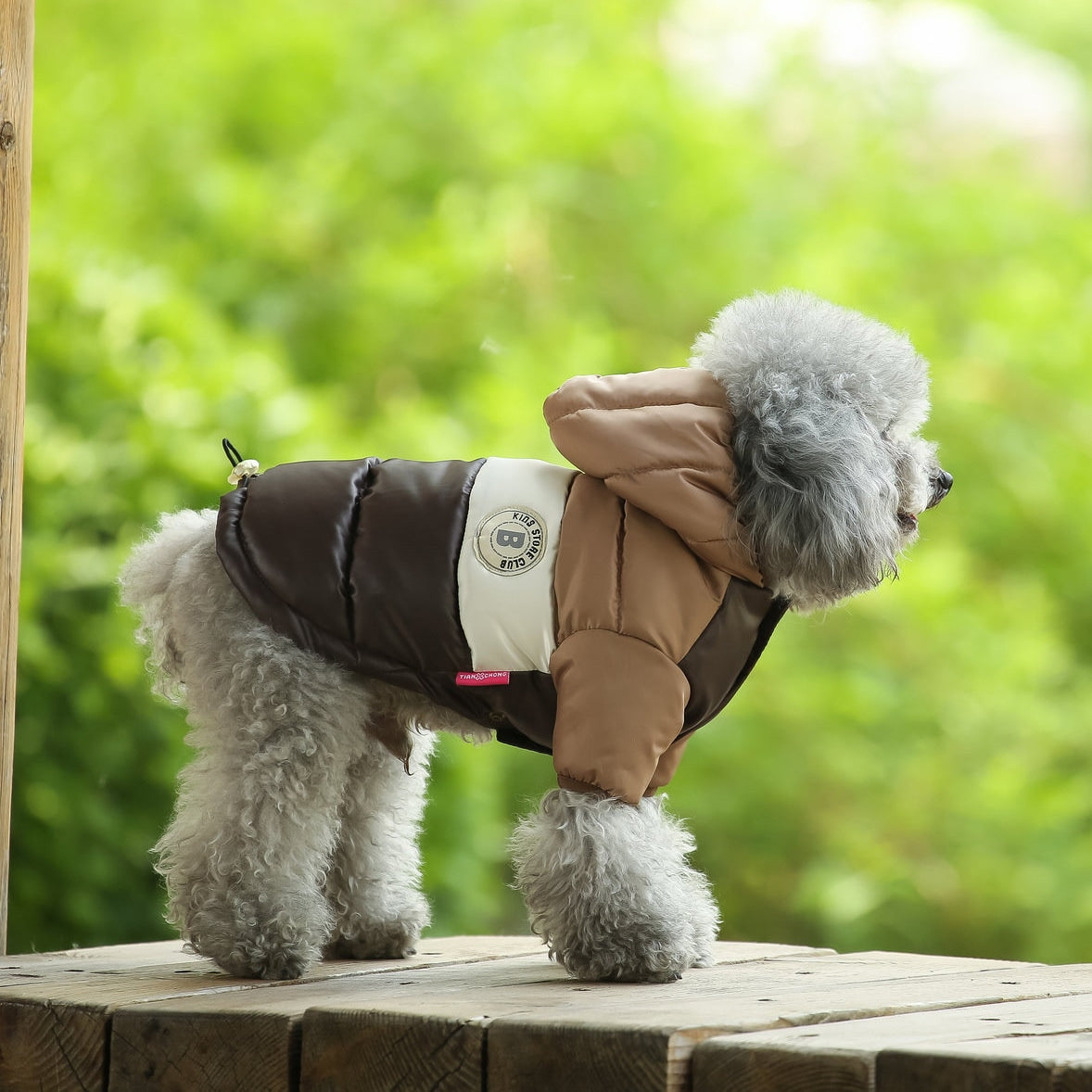 犬服 服 フード付きダウン風ジャケット ジャケット コート おしゃれ かわいい 小型犬 保温 防寒 やわらか あったか 犬用 犬の服 犬 服 ペット服 ドッグウェア997