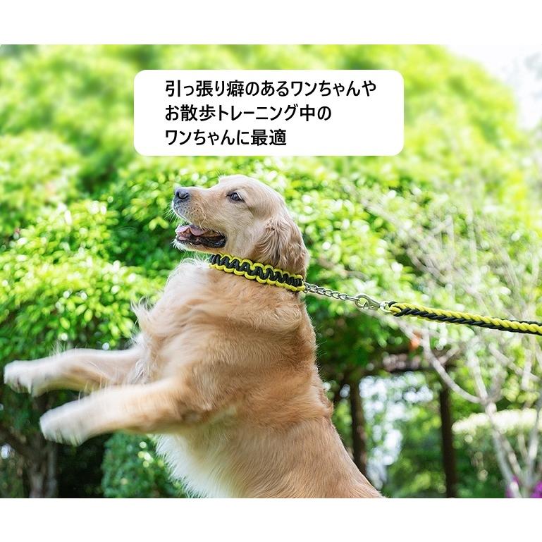 犬 首輪 中型犬 大型犬 ハーフチョーク しつけ 犬用 おしゃれ631896138