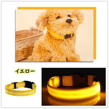 犬 首輪 光る LED キラキラ 光るバンド S/M/L 首バンド 夜間 散歩 夜 ペット リード ジョギング ウォーキング きらきらバンド 安全ライト 防止 点滅 ライト ins