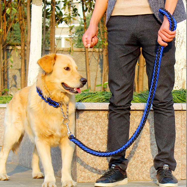 送料無料 リード 首輪 2点セット 犬 首輪セット リードセット 小型犬 中型犬 大型犬 太く 頑丈 丈夫 犬用リード 極太 編み紐 噛み癖 防止 ドッググッズ 散歩 お出かけ しつけ ペット ペット