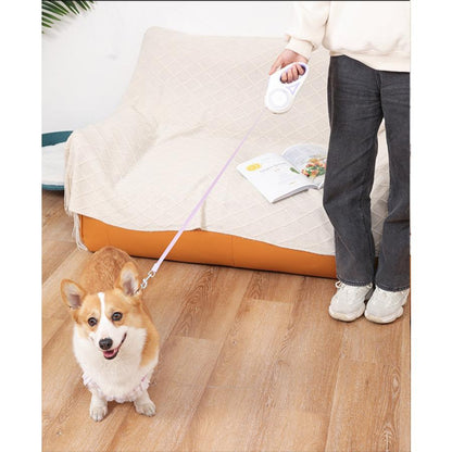 3日以内に出荷 2025新品 3m / 5m LEDライト フレキシリード 小型犬用 中型犬用 大型犬用 テープ/コード 耐久性 頑丈 安全 伸縮リード フレキシ ペット用品 犬用品3m /