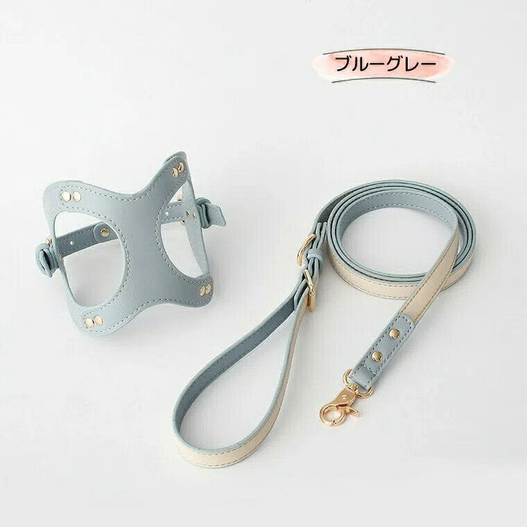 今年の新品 上品カラーで高見え 防水 ハーネス＆リード ハーネスリード ハーネスリードセット 胴輪 ハーネス リード 犬 イヌ ドッグ dog 小型犬 犬用 ペット用 犬具 胴輪 散歩 出かけ 簡単上
