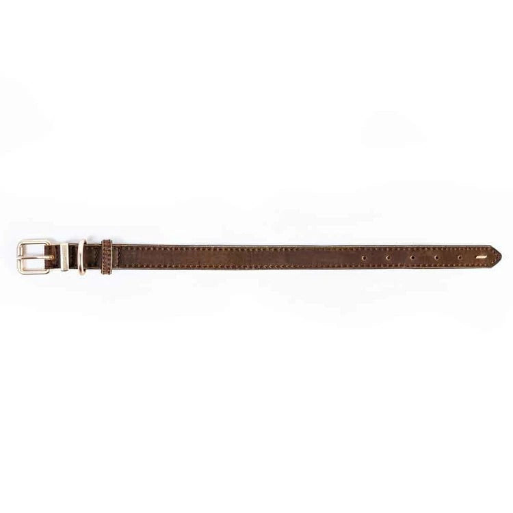 【人気商品】EZ レザーカラー L