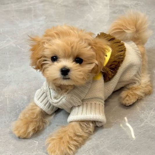 犬服秋冬犬猫セーターペットニットウール二本足コートテディポメラニアン子犬セーターコート犬 服 犬 犬の服 犬 洋服 犬の服夏 犬洋服