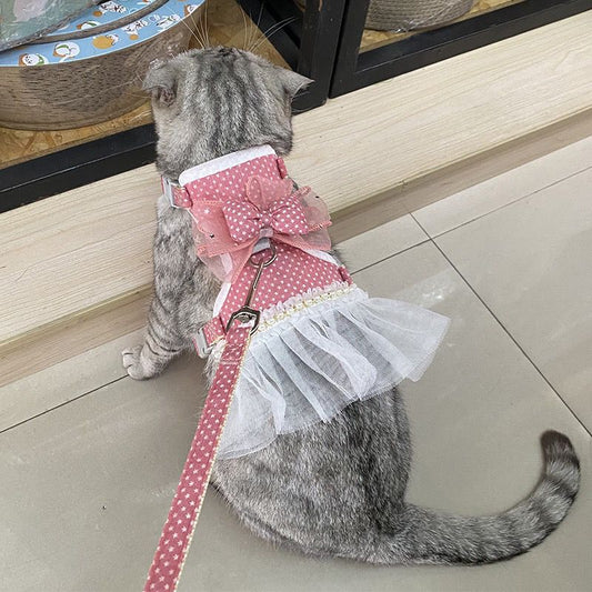韓国の刺繍ペットのリュックサックのテディは熊より縄を引っ張ります