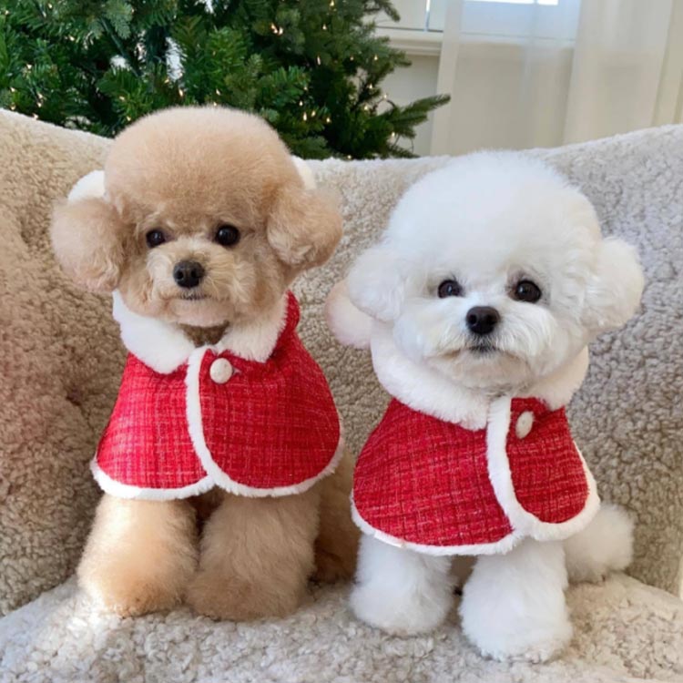 売れ 犬の服 クリスマス クリスマス 猫 フード付き 服 犬 犬服 ペット服 猫服 サンタさん コスチューム 着ぐるみ 犬服 クリスマスマント 犬用 猫用 マント マント サンタローブ コスプレ サン