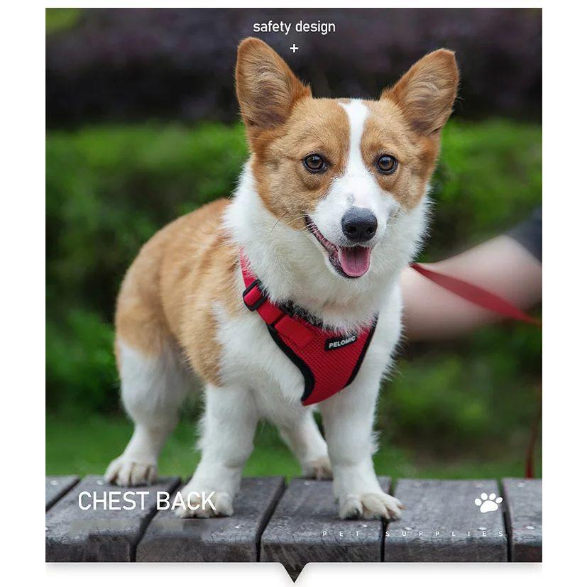 新商品プロモーション，数量限定 猫 犬 ハーネス ペット 服 フルカバー ウェアハーネス 胴輪 キャット ドッグ メッシュ猫 犬