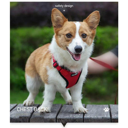 新商品プロモーション，数量限定 猫 犬 ハーネス ペット 服 フルカバー ウェアハーネス 胴輪 キャット ドッグ メッシュ猫 犬
