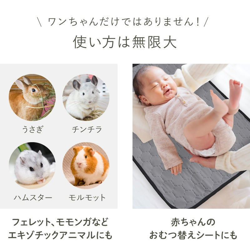 <a href="https://www.qoo10.jp/gmkt.inc/Search/brand.aspx?brandno=117010" target="_blank" class="title_brand" id="btn_brand" title="LASIEM">LASIEM</a>【発送3日以内】洗える ペットシーツ 2枚セット 犬 猫 犬用 ペットマット トイレシート おしっこシート 介護 ペットマット 食事マット 防水 おしっこパッド マット 滑り止め 介護シーツ 漏れ防止