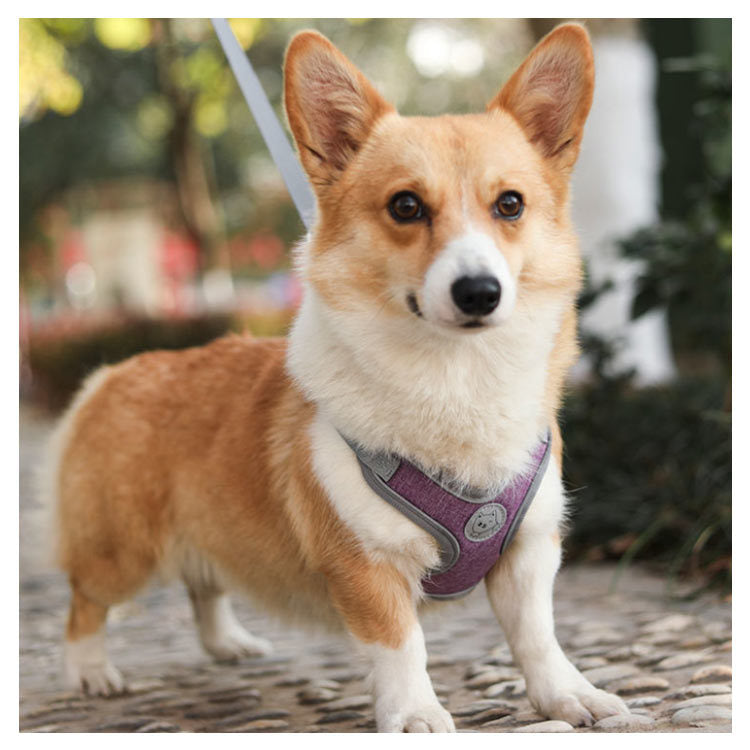 犬具 ハーネスリードセット 小型犬 ドッグ メッシュ ハーネスリード dog ベスト型 胴輪 犬用