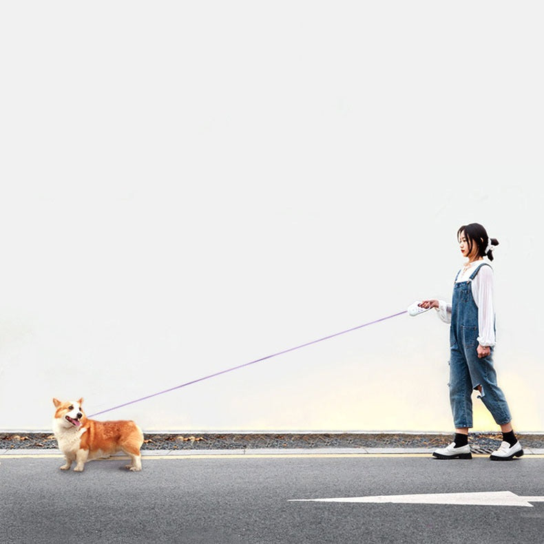 犬用リード 伸縮 犬 リード 光る 3m ワンタッチ伸縮 夜に光る 散歩 小型犬 中型犬 軽量 簡単 イヌ いぬ