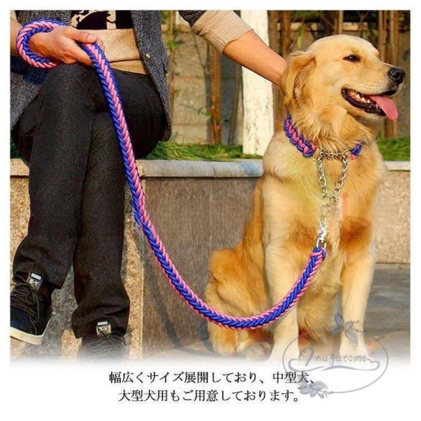 リードと首輪セット 首輪セット リードセット 首輪 小型犬 中型犬 大型犬 犬 首輪 犬用 リード 散歩 お出かけ ドック用品 リード長さ1.2メートル