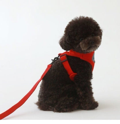 韓国版の中で小型の犬のテディは熊のコーキに比べて外出して犬を散歩します メガ割ワンピースパンツトートバッグ