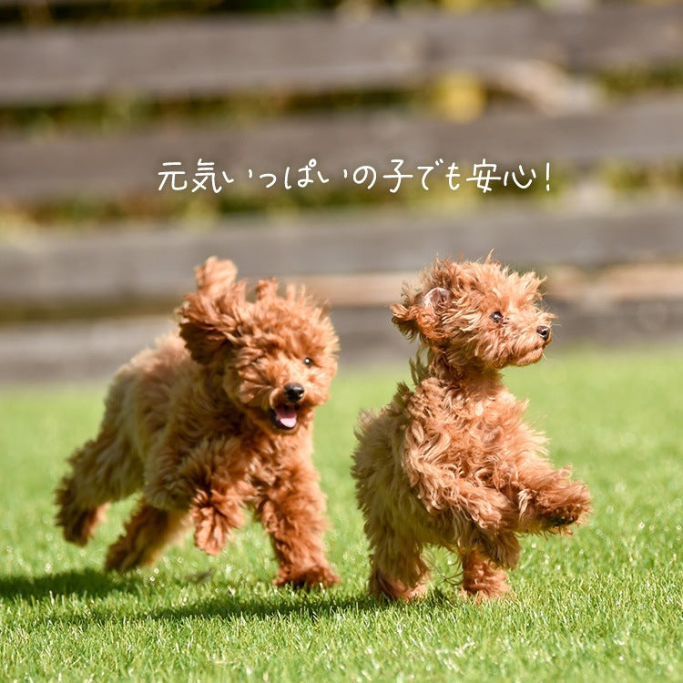 <a href="https://www.qoo10.jp/gmkt.inc/Search/brand.aspx?brandno=49458" target="_blank" class="title_brand" id="btn_brand" title="アイリスオーヤマ">アイリスオーヤマ</a>【公式】長時間安心／ ペットオムツ 男の子 マナーベルト オス 超小型犬 中型犬 ペット用 紙おむつ 介護 粗相 PitaFit MNPD * 送料無料
