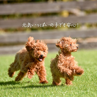 <a href="https://www.qoo10.jp/gmkt.inc/Search/brand.aspx?brandno=49458" target="_blank" class="title_brand" id="btn_brand" title="アイリスオーヤマ">アイリスオーヤマ</a>【公式】長時間安心／ ペットオムツ 男の子 マナーベルト オス 超小型犬 中型犬 ペット用 紙おむつ 介護 粗相 PitaFit MNPD * 送料無料