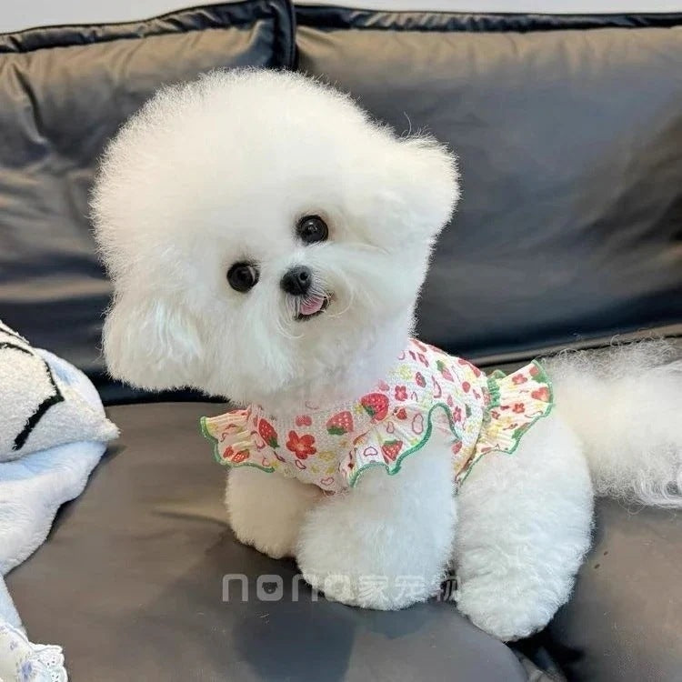[犬 服]犬 洋服 ins人気商品 ペット猫外出サンウェア犬服春夏新作スカート