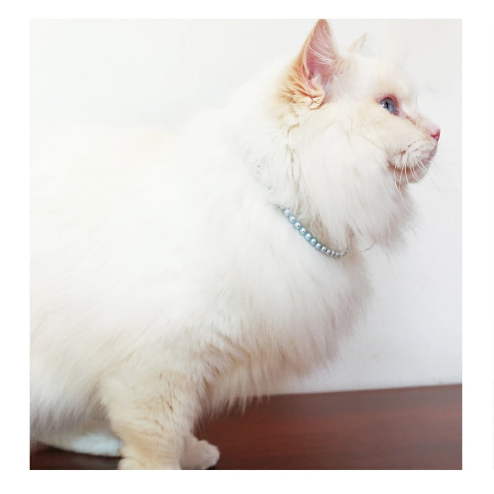 <a href="https://www.qoo10.jp/gmkt.inc/Search/brand.aspx?brandno=121124" target="_blank" class="title_brand" id="btn_brand" title="MELODY ACCESSORY">MELODY ACCESSORY</a>K18GP 送料無料 ペットアクセサリー 犬用 ネックレス 首輪 パール チョーカー 犬 いぬ DOG ねこ 猫 ペット 真珠 シンプル 小型犬 中型犬 かわいい おしゃれ
