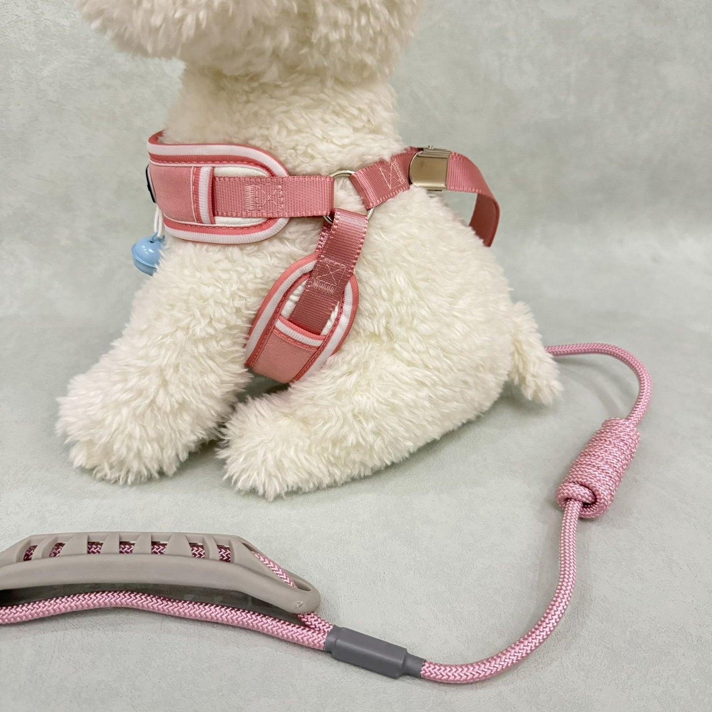 犬の牽引紐のベストは快適な子犬を連れて犬を散歩します