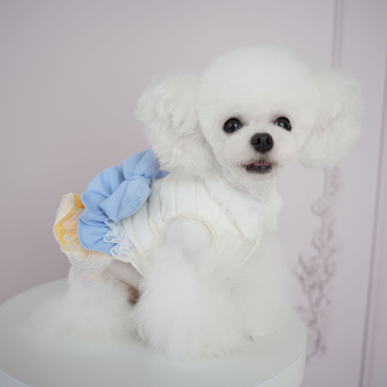 犬の服ペット犬冬服横縞多層レース綿スカート防水コート小・中型犬二本足コート