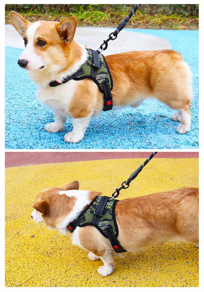キャンペーン価格抜けない 抜けにくい 犬 ウェアハーネス 中型犬 大型犬 小型犬 外出 3点セット 避難 ハーネスリードセット 負担の少ない ステップハーネス 調整可能 首輪 犬用 脱出防止 通院 ハ