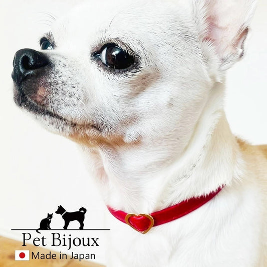 <a href="https://www.qoo10.jp/gmkt.inc/Search/brand.aspx?brandno=121124" target="_blank" class="title_brand" id="btn_brand" title="MELODY ACCESSORY">MELODY ACCESSORY</a>犬用 ネックレス ドッグアクセサリー 日本製 首輪 チョーカー 送料無料 調節可能 犬 いぬ ねこ 猫 ペット シンプル 小型犬 中型犬 かわいい おしゃれ トイプードル