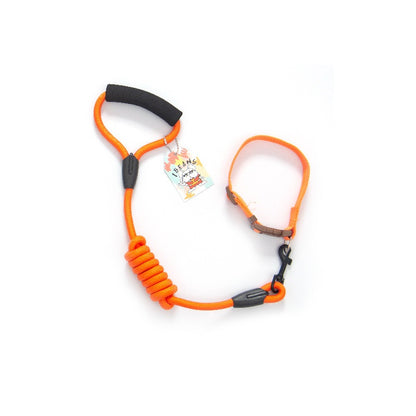2点セット おしゃれ お出かけ リード ネコ用ハーネス ハーネス ペット用品 小型犬 犬 リーシュ 軽量 犬用ハーネス 中型犬 猫用 犬用 ペットハーネス ハーネスリードセット お散歩 簡単装着 胴輪