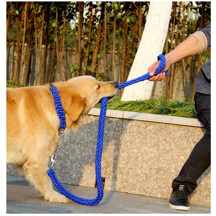送料無料 リード 首輪 2点セット 犬 首輪セット リードセット 小型犬 中型犬 大型犬 太く 頑丈 丈夫 犬用リード 極太 編み紐 噛み癖 防止 ドッググッズ 散歩 お出かけ しつけ ペット ペット