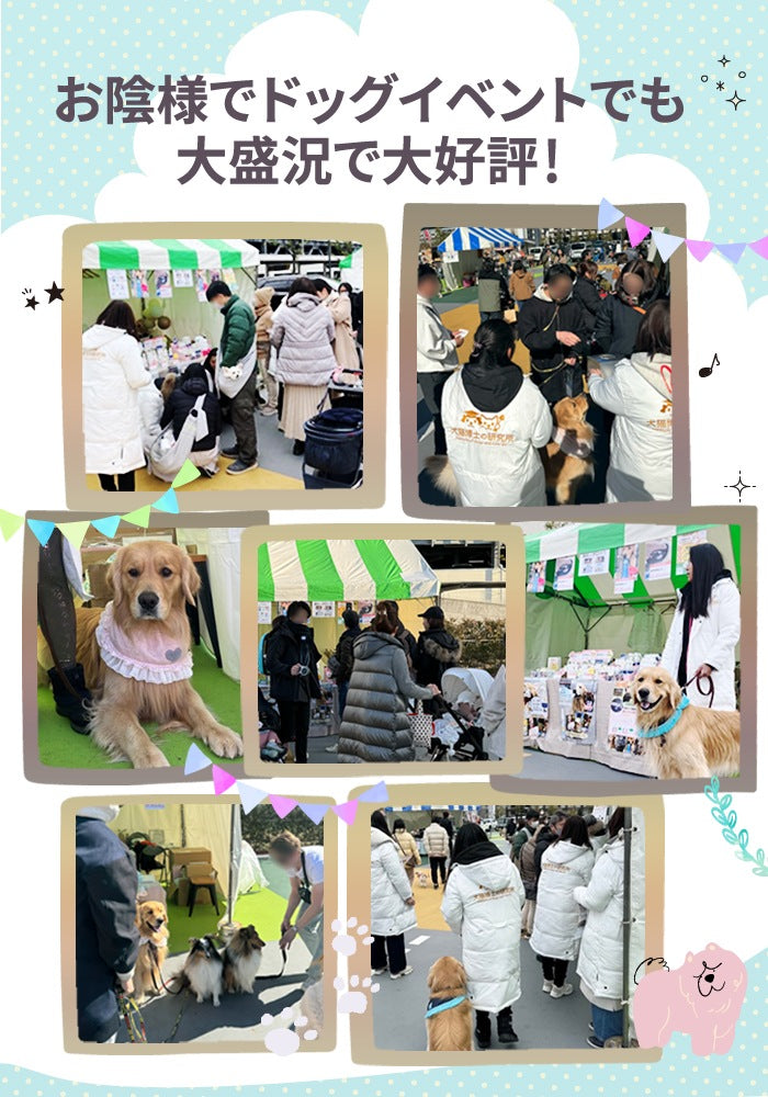 獣医推薦愛犬愛猫の歯垢歯石歯周病が塗るダケでツルツルな歯に！安心安全な100％天然由来！歯磨ジェル　ピュアツルデンタル60m