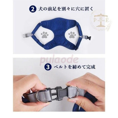 ハーネスリード リード ハーネス ２点セット 反射 胴輪 犬服 セットアップ 小型犬 ドッグウェア キャットウェア ベスト 猫服 シンプル ペット服