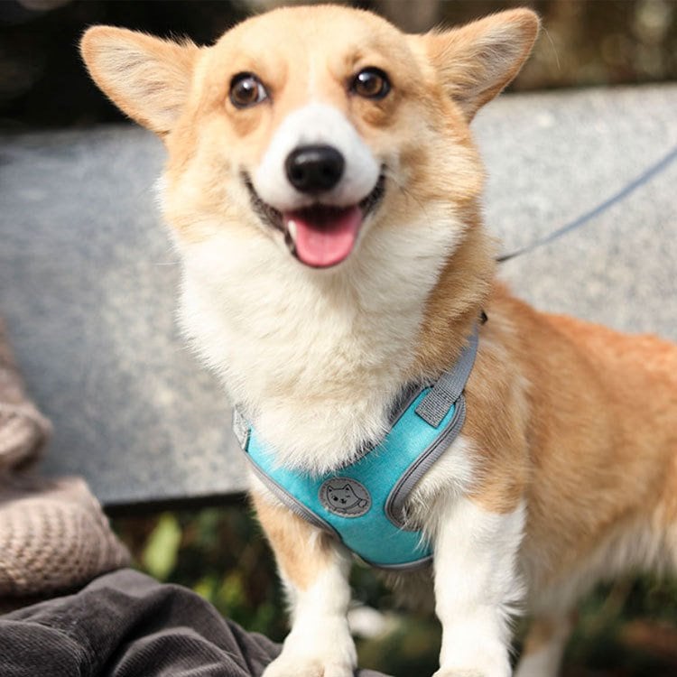 犬具 ハーネスリードセット 小型犬 ドッグ メッシュ ハーネスリード dog ベスト型 胴輪 犬用