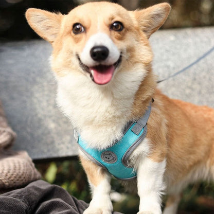 犬具 ハーネスリードセット 小型犬 ドッグ メッシュ ハーネスリード dog ベスト型 胴輪 犬用