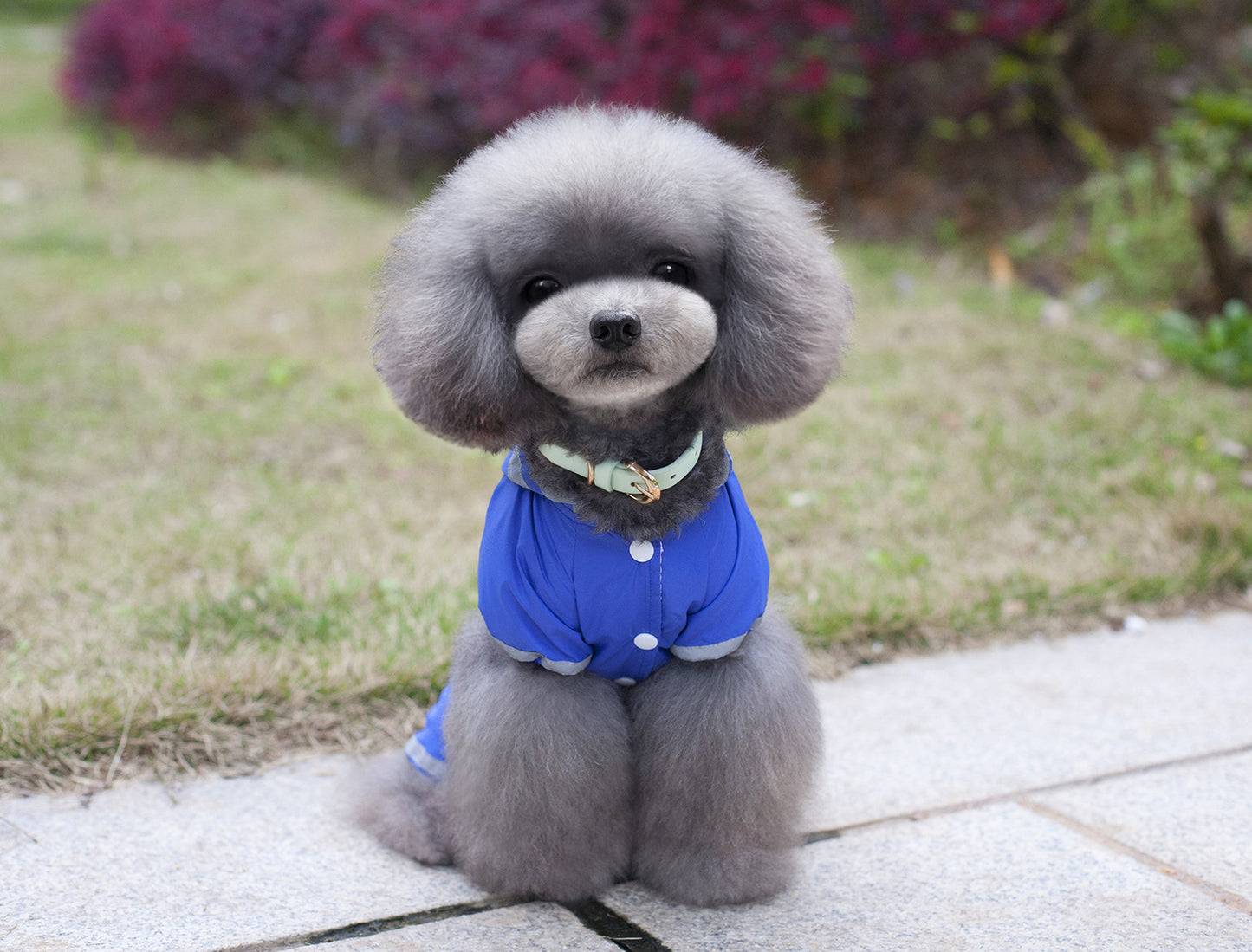 猫 犬 洋服 犬服 ペット服 大中小型犬 ペット用品 犬/猫用 犬の服 ペットウエア 小型犬 中型犬 通気 可愛い ドッグウェア トレーナー 犬 服 ワンピース サロペット ビションフリーゼ 犬猫服
