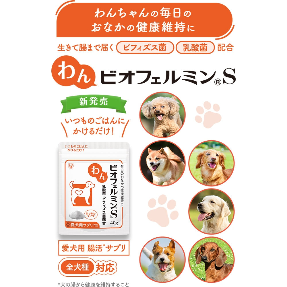 <a href="https://www.qoo10.jp/gmkt.inc/Search/brand.aspx?brandno=62316" target="_blank" class="title_brand" id="btn_brand" title="大正製薬">大正製薬</a>【公式】大正製薬 わんビオフェルミンS 40g 2袋 犬 サプリ サプリメント 腸活 免疫力 健康維持 ビフィズス菌 乳酸菌 犬サプリ イヌ 犬用 ペット 腸活サプリ 無添加 ふりかけ 粉 腸内環境