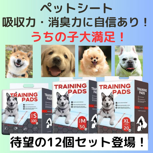 <a href="https://www.qoo10.jp/gmkt.inc/Search/brand.aspx?brandno=137542" target="_blank" class="title_brand" id="btn_brand" title="CozyCorner">CozyCorner</a>大幅値下げ登場！　【お得な12個セットペットシーツ】組み合わせ自由　衛生的　大容量　吸水力・消臭力に自信あり！ウチの子大満足！　業務用　S・M・XL　レギュラー・ワイド・スーパーワイド