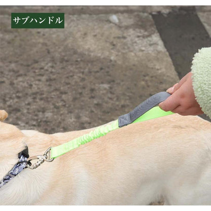ロングリード のびるリード リード 小型犬 大型犬 犬用 リード 伸縮リード ハンドル付き 犬 犬のリード トレーニング 中型犬