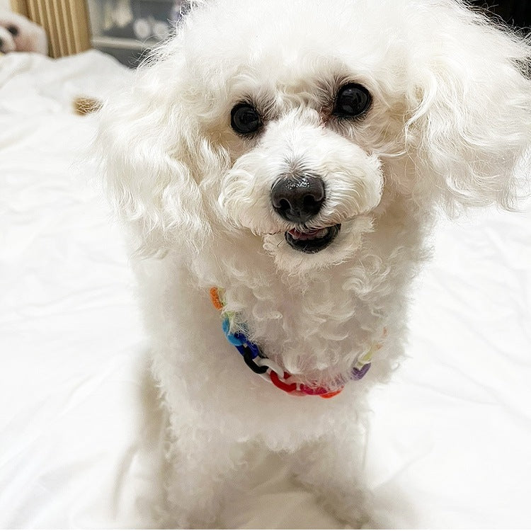 ペットチェーンカラーネックレス ペット用首輪 首輪 犬 猫 小型犬 中型犬 可愛 ペット用アクセサリー ペットグッズ シンプルカラーペット用首輪
