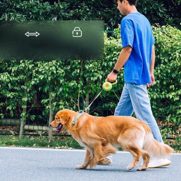 大型犬 キャンプ サイクリング 巻き取り式ドッグリード 荷重30kg 伸縮リード 小型犬 旅行 長さ3M 中型犬 ドライブ 自動巻き 犬用リード