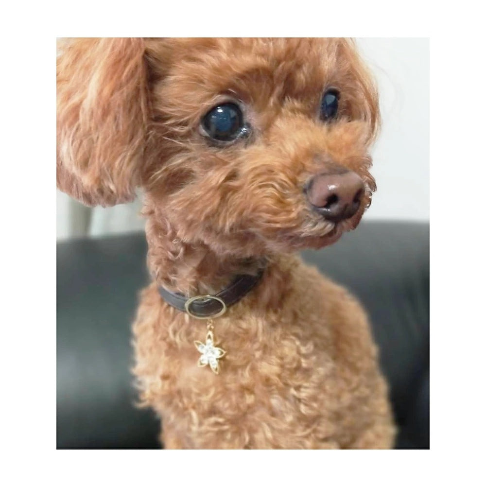 <a href="https://www.qoo10.jp/gmkt.inc/Search/brand.aspx?brandno=121124" target="_blank" class="title_brand" id="btn_brand" title="MELODY ACCESSORY">MELODY ACCESSORY</a>犬用 ネックレス 首輪 チョーカー ドッグアクセサリー 日本製 フラワー 鍵 りぼん リボン 送料無料 調節可能 犬 いぬ ねこ 猫 ペット シンプル 小型犬 中型犬 かわ