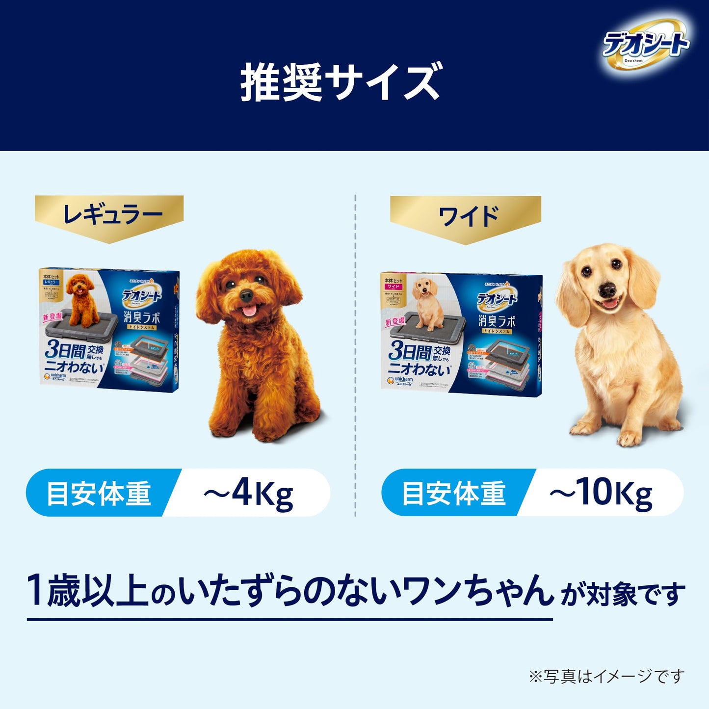 【約1か月分セット】デオシート消臭ラボ レギュラー 強力吸収・消臭マット 抗菌ドライフィルター