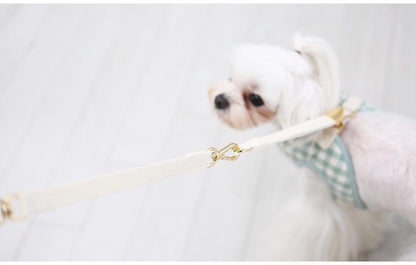 韓国版の中で小型の犬のテディは熊のコーキに比べて外出して犬を散歩します
