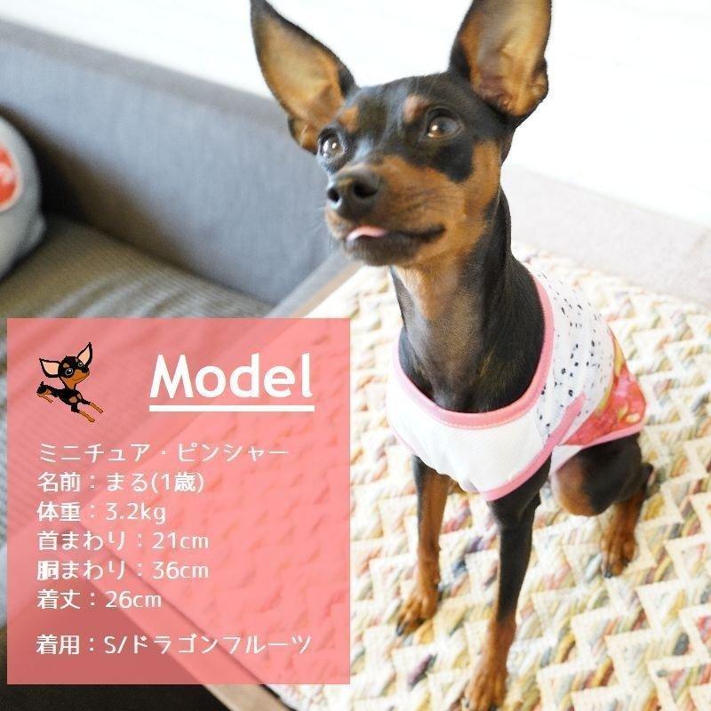 新作登場 上品 ペットファッション ペット服 タンクトップ ドッグウエア キャットウエア メッシュ 薄手 ノースリーブ 袖なし 犬 猫 小型犬 フルーツ柄 リアル