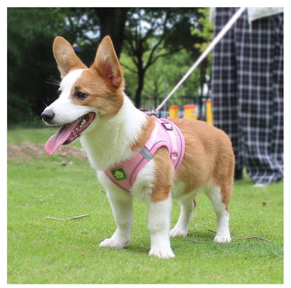 胴輪 犬用 抜けない 犬具 しっかりロック 小型犬 簡単装着 散 犬 中型犬 ドッグ イヌ メッシュ いぬ M 負担が少な 抜けにくい 犬ハーネスリードセット かわいい おしゃれ お出かけ