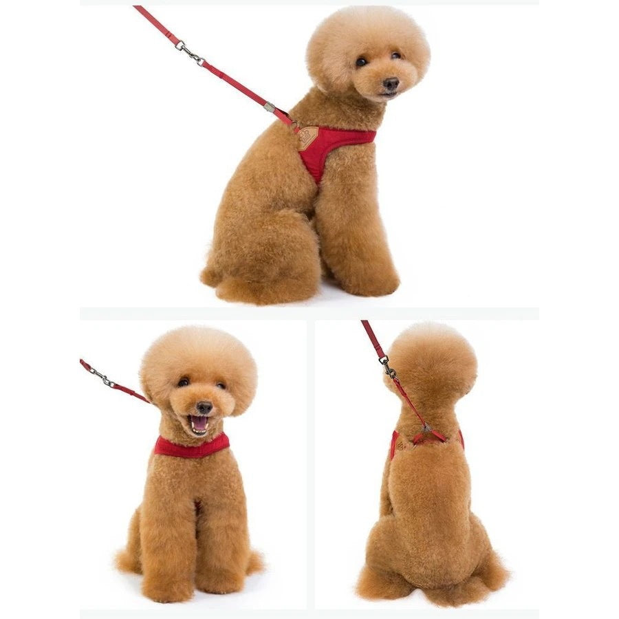 ハーネスリード ペット用品 犬 小型犬 2点セット お散歩 お出かけ アウトドア カジ
