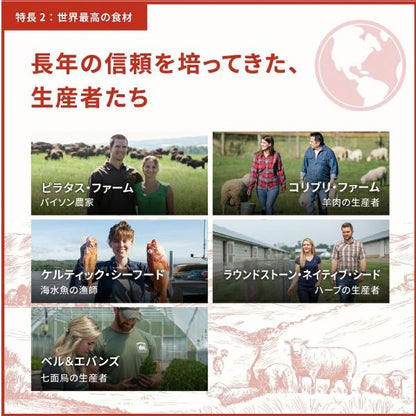 ACANA アカナ アダルトスモールブリード 340g ドッグフード 犬 餌 小型犬 小粒 無添加 肉食 カナダ産