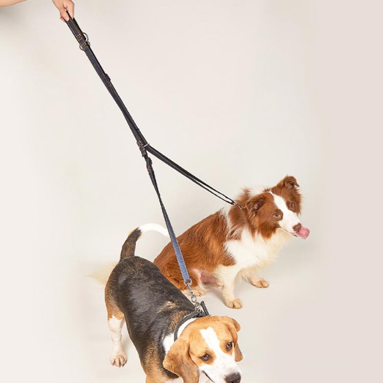 犬 ショルダーリード リード 大型犬 迷子防止 脱走防止 肩掛け リード ハンズフリー ハーネス ダブル 外れ ない 防止 中型犬 ハンズフリー 大型犬 2頭引き ダブルリード 犬用シートベルト 車載