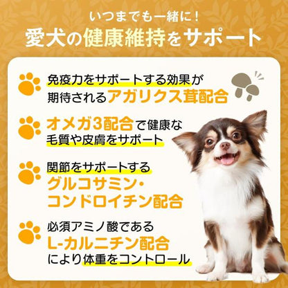 LOT PREMIER ロットプレミア チキン＆アガリクス 全犬種 高齢犬7才以上 小粒 500g ドッグフード