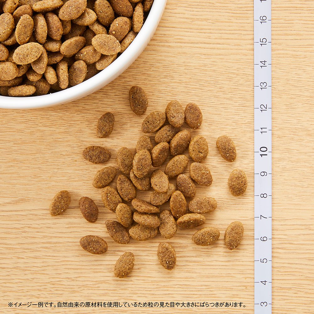 <a href="https://www.qoo10.jp/gmkt.inc/Search/brand.aspx?brandno=56208" target="_blank" class="title_brand" id="btn_brand" title="シュプレモ">シュプレモ</a>ニュートロ　超小型犬ー小型犬成犬用草原のレシピ　チキンのロースト　エンドウ豆・ニンジン・パセリ添え４ｋｇ＋パウチ１袋おまけ付　ＣＲＣ45―05―21―10―00