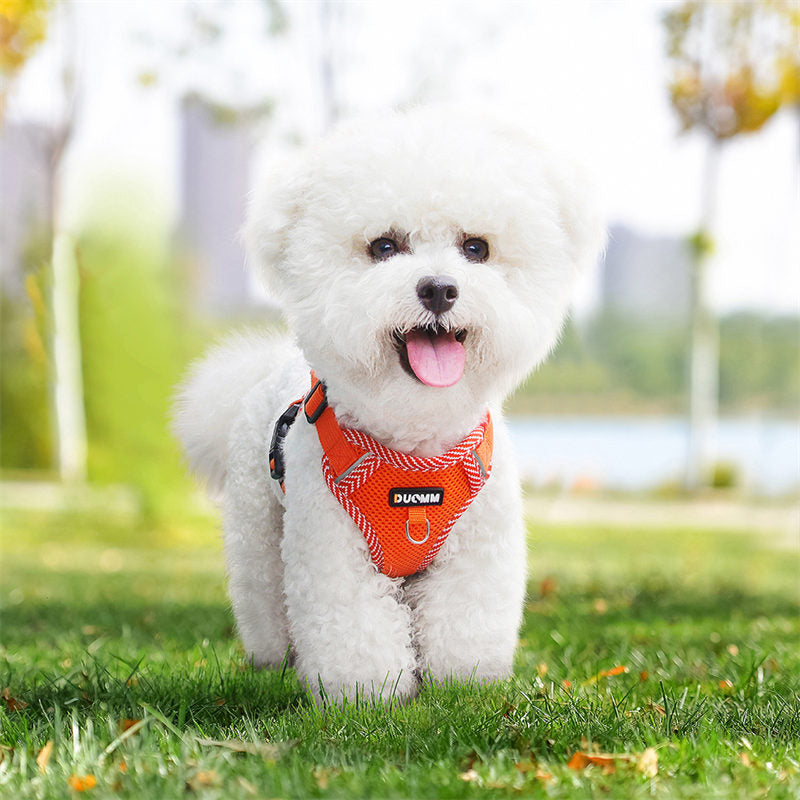 犬ハーネスリードセット 4カラー 抜けない メッシュ素材 着脱簡単 春夏用最適 2023新品 蒸れない 通気性抜群