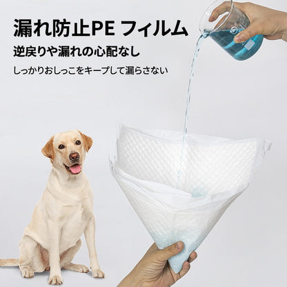<a href="https://www.qoo10.jp/gmkt.inc/Search/brand.aspx?brandno=109151" target="_blank" class="title_brand" id="btn_brand" title="Honeycare">Honeycare</a>急速発送 ペットシーツ 中厚型 レギュラー 100枚 ワイド 50枚 スーパーワイド 25枚 トイレシーツ ペットシート 犬 猫 トイレ用品