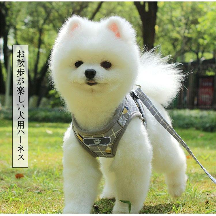新商品プロモーション，数量限定 ペット用 犬用 ハーネスとリードの２点セット 型ハーネス＆リード ペットグッズ 犬用品 マジックテープとバックルで開閉 着脱簡単 XS S Mペット用 犬用